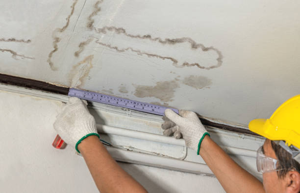 Reliable Mold Remediation contractor in Osseo, WI by Water Damage Irwin